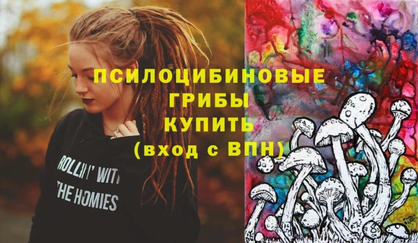 МДПВ Абдулино