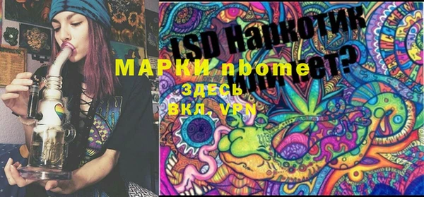 гашик Абинск