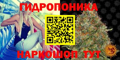 гашиш Краснознаменск