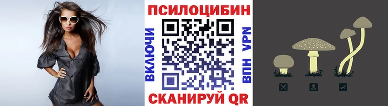 Галлюциногенные грибы Psilocybine cubensis  Сертолово 