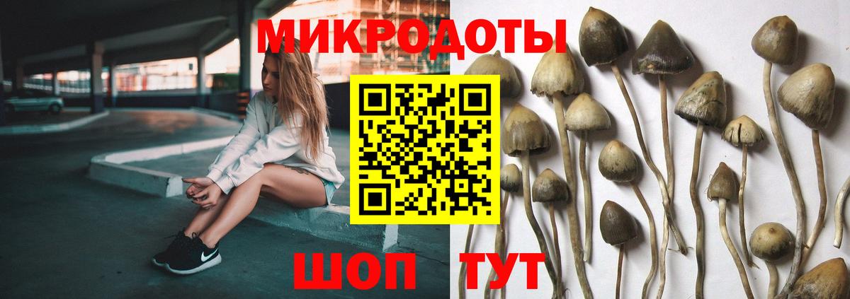 Галлюциногенные грибы мухоморы  Вход с VPN  Сертолово 