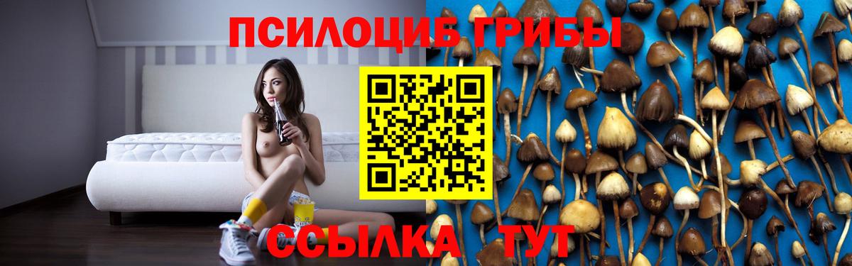 Галлюциногенные грибы GOLDEN TEACHER  Вход с VPN  Сертолово  Галлюциногенные грибы прущие грибы 